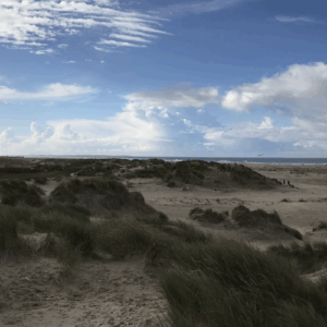 Retreats hos Sanne