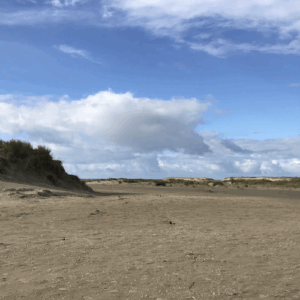Stilhedsretræte